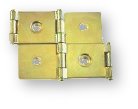 brass plated double action hinges