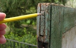 Thru tenon joint on an old shutter