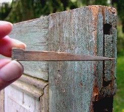 The wedge from an old mortise and tenon joint