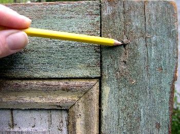 Peg on an old shutter