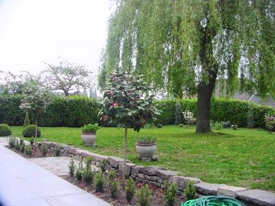 Belgium Patio Garden