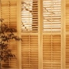 Interior Plantation Shutters