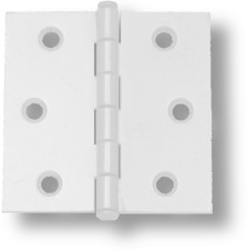 White Mortise Hinges